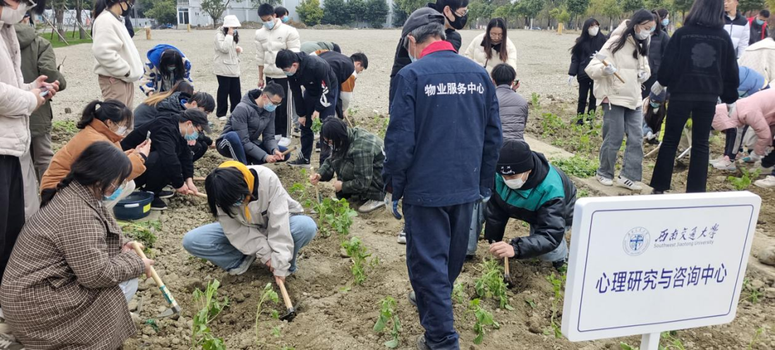 澳门六合彩开奖直播
