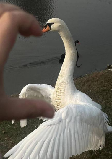 澳门六合彩开奖直播