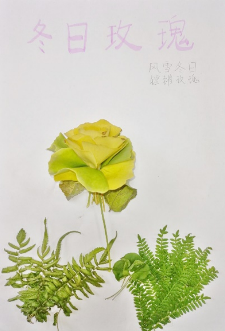 澳门六合彩开奖直播