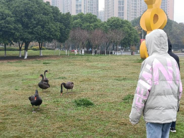 澳门六合彩开奖直播