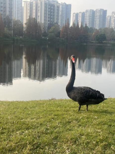 澳门六合彩开奖直播