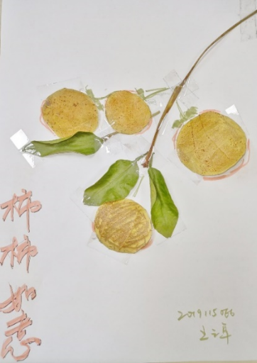 澳门六合彩开奖直播